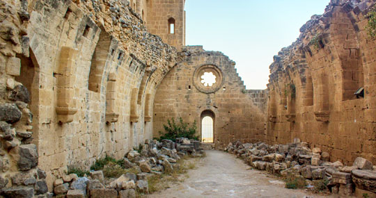 single-blog-tab-img8